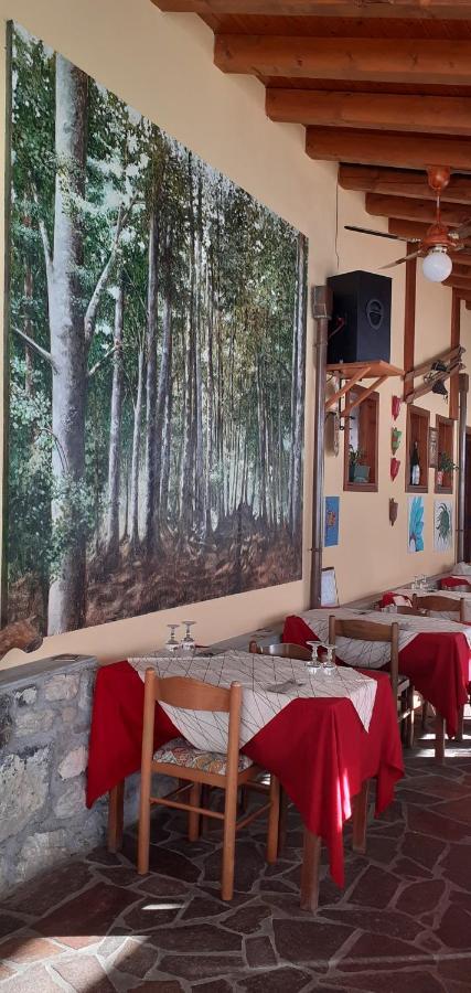 Albergo Nuoitas Forni di Sopra Exteriör bild