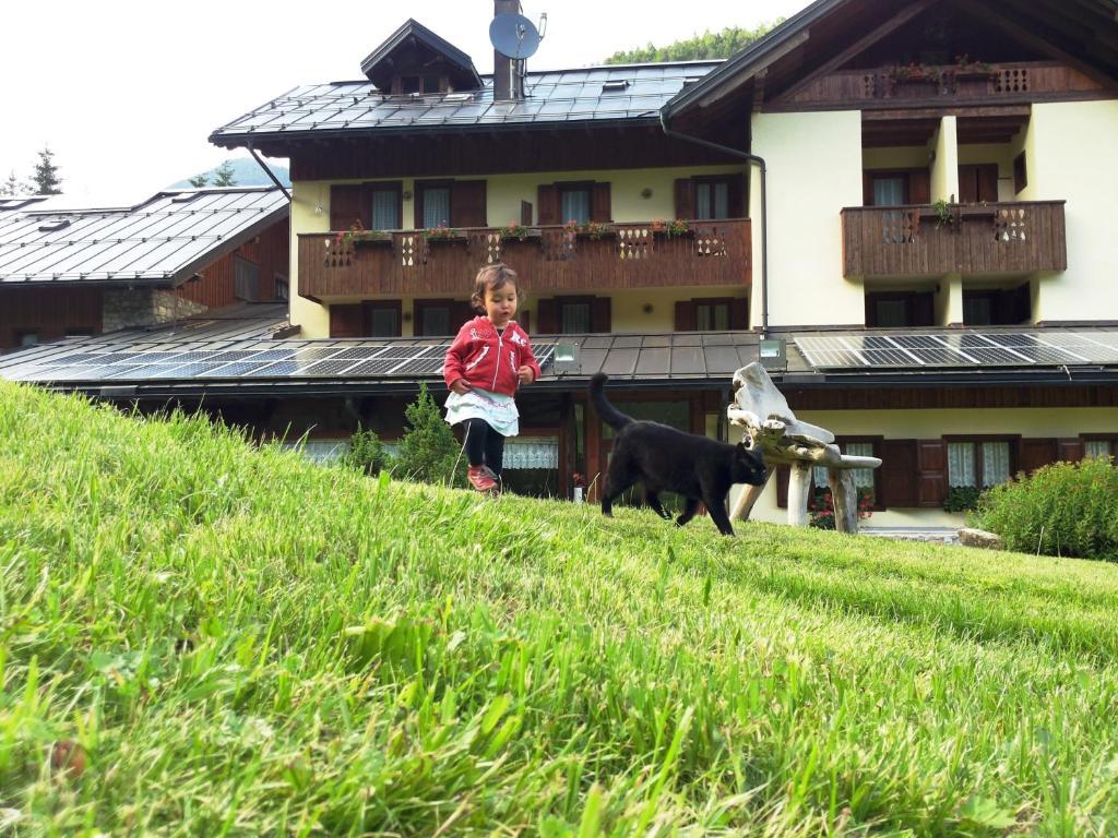Albergo Nuoitas Forni di Sopra Exteriör bild
